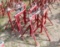 Lot of (6) Misc Roller Stands