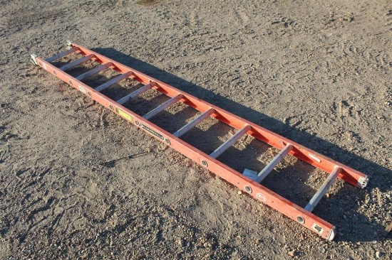 Louisville 10' Ladder