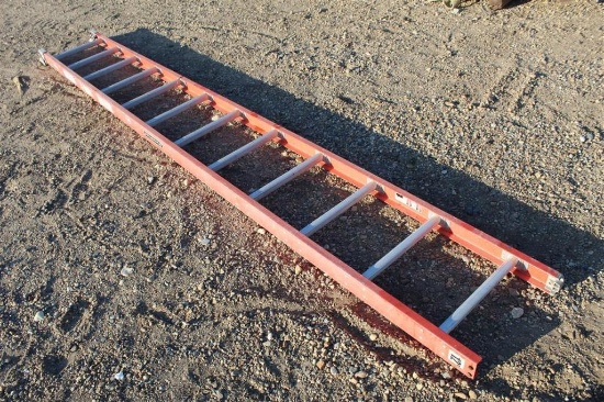 Louisville 12' Ladder