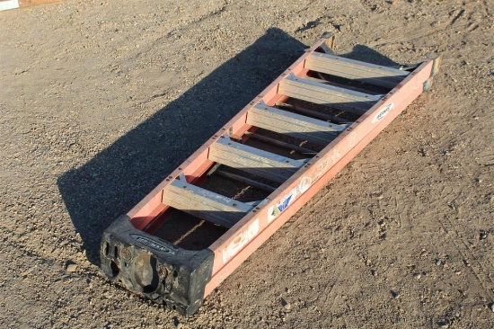 Werner 6' Ladder