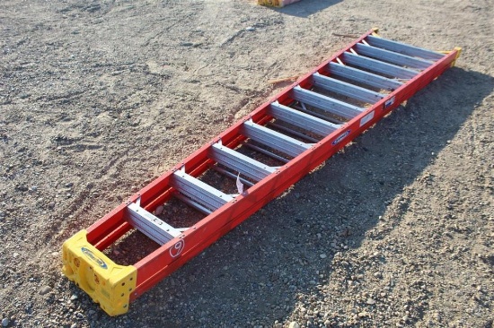 Werner 12' A-Frame Ladder