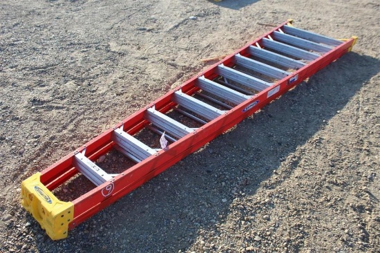 Werner 12' A-Frame Ladder
