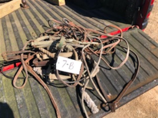 Lot of Misc. Leather Bridles