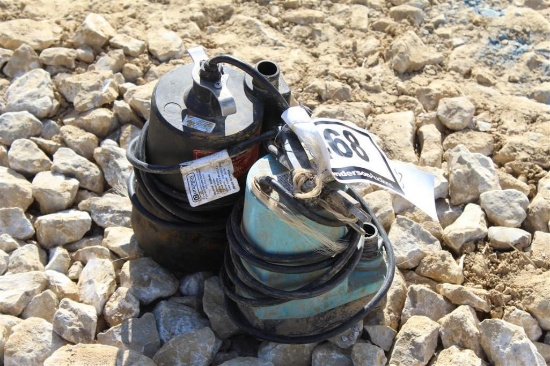 LOT OF (2) WATER PUMPS