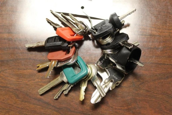 SET OF (24) KEYS FOR HEAVY EQUIPMENT