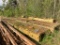 PORTABLE MODULAR BRIDGE WITH DECKING