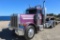 2004 PETERBILT 379 DAY CAB