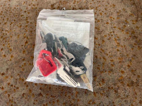 LOT OF 24 EQUIPMENT KEYS