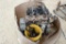 DIESEL ENGINE
