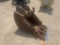 16IN DIGGING BUCKET