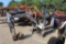 BOBCAT 323 | PARTS/REPAIRS