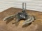PIPE BEVLER