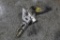 AVANTI 1 HIGH TORQUE
