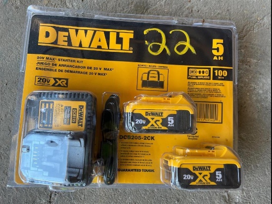 DEWALT 20V MAX STARTER KIT