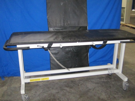 MAGMEDIX 500 lb Capacity Rolling Table