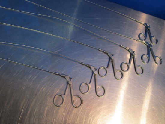 KARL STORZ Various Grasping Forceps Urological Instruments