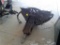 Skid Steer Mount Hyd Hammer