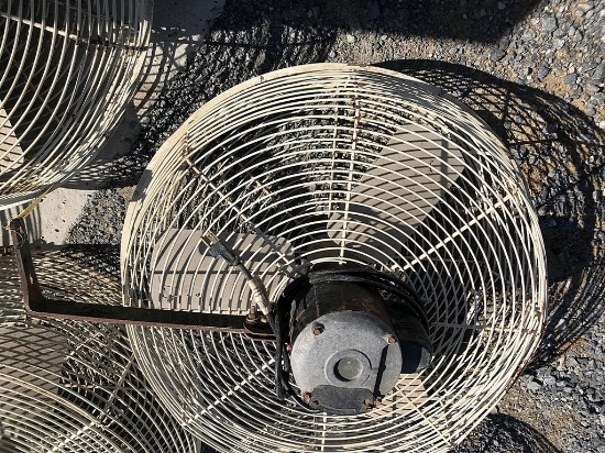 Fan