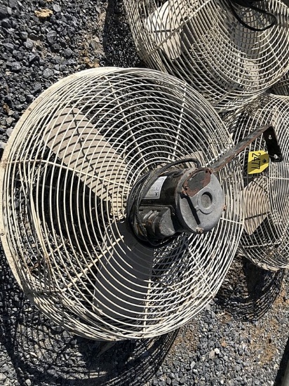 Fan