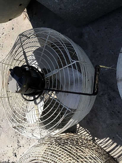 Fan
