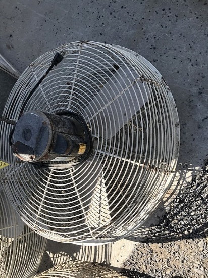Fan