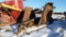 Wood Batwing Mower