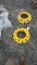 John Deere   Wheel Weights 'Pair of 2'
