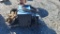 Miller  Maxtron 450 Welder