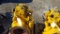 2018 Cat EJ13 Engine 'NEW'