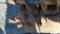Bobcat Auger Bit