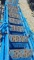 Scaffold Ladders