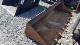 Cat  Tooth Bucket