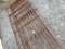 Hog Fencing