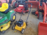Cub Cadet  Push Mower