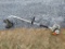 Echo GT2000 String Trimmer