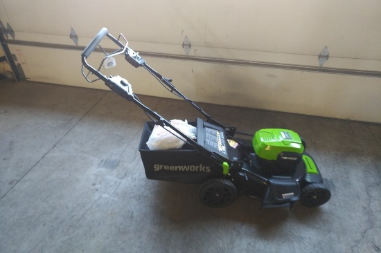 2019 Greenworks  Self Propelled  Mower