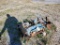 Ford  Gas Engine