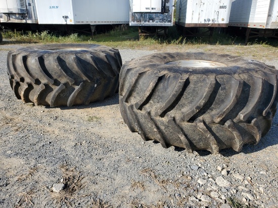 Firestone   'Pair of 2'