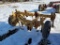 Taylor Way  Chisel Plow