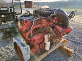 2019 Cummins X15 Engine 'Elite'