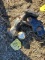 Pintle Hitch