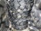 Forerunner SKS6 Tires 'Set of 4 - New'