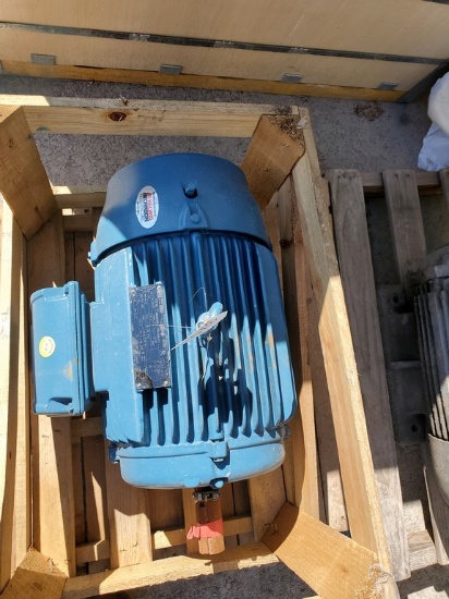 Weg W22 Electric Motor