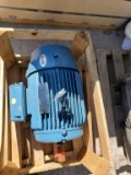 Weg W22 Electric Motor