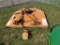 Woods BB60X Rotary Mower 'AS-IS'