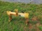 Farm Force  Quick Hitch