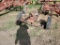 Pincor PTO30-2 Generatot on Cart