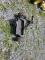 Havener Enterprises TS2006N Sulky