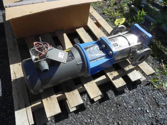 Goulds  Transfer Pump