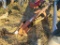 Rhino RPHD Post Hole Auger